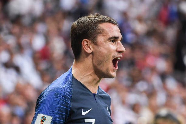 不仅因为他 不仅因为他